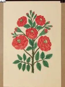 musée de grenoble - herbier, estampe pochoir, jacomet
